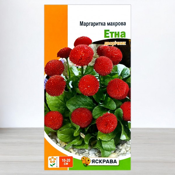 Насіння маргаритки махрової Етна червона, 0,1г, ТМ Яскрава